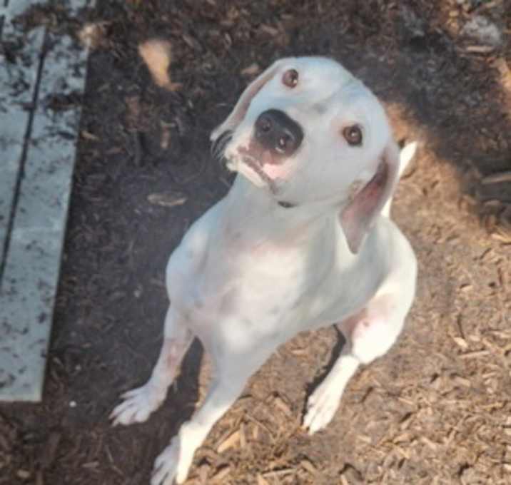 Photo of PHILOMENA