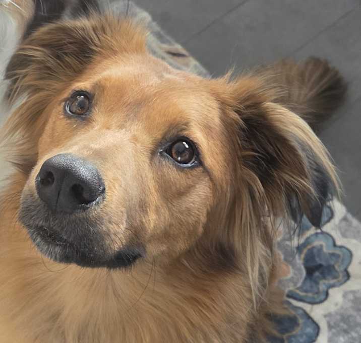 Photo of Nova