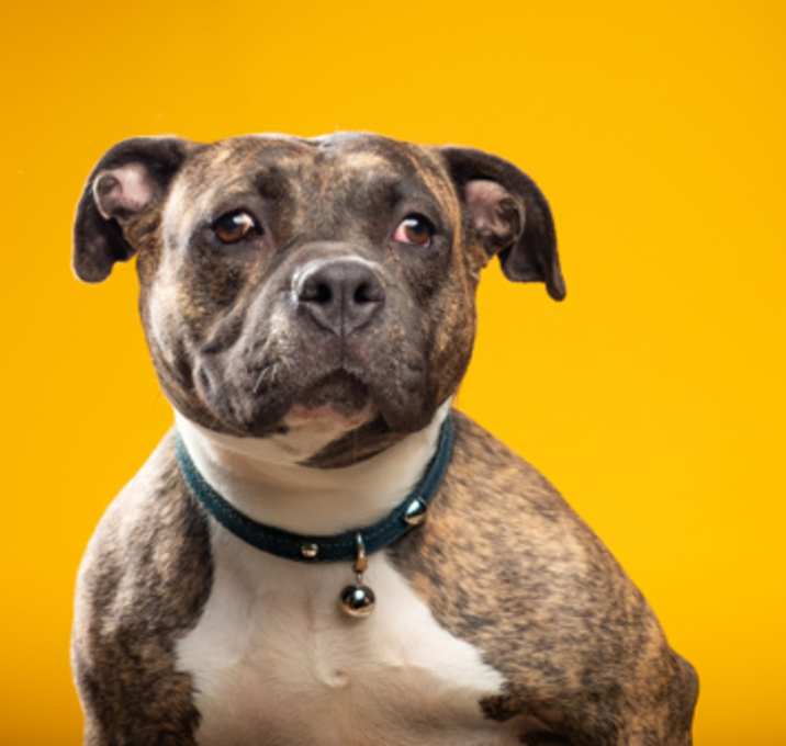 Photo of Roxy