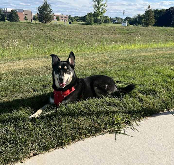 Photo of Jax