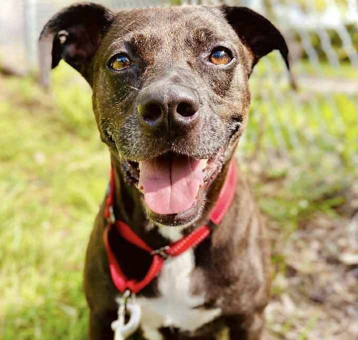 Photo of Layla