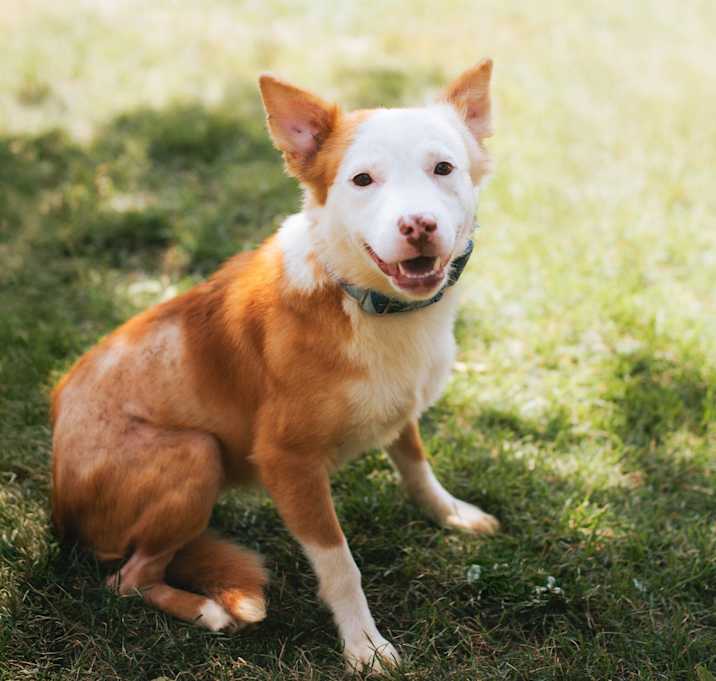 Photo of Sunny