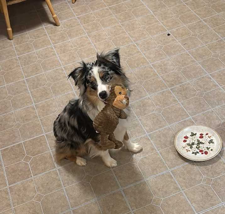 Photo of Flash
