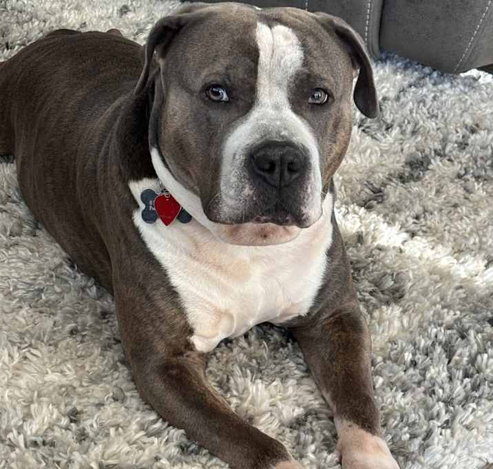 Photo of Chase
