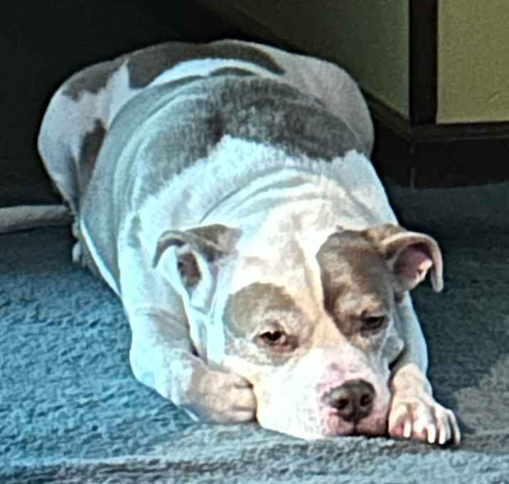 Photo of Jaxson