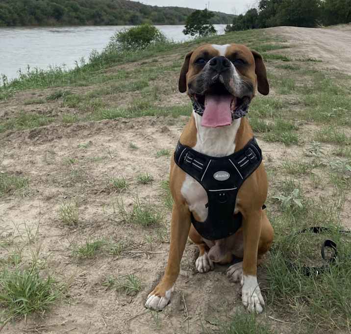 Photo of Max
