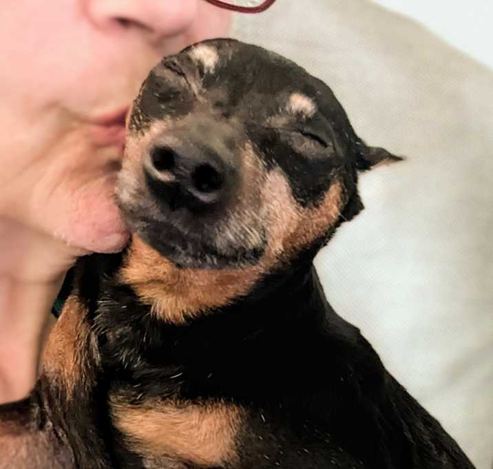 Photo of Elsbeth (PA) gentle girl