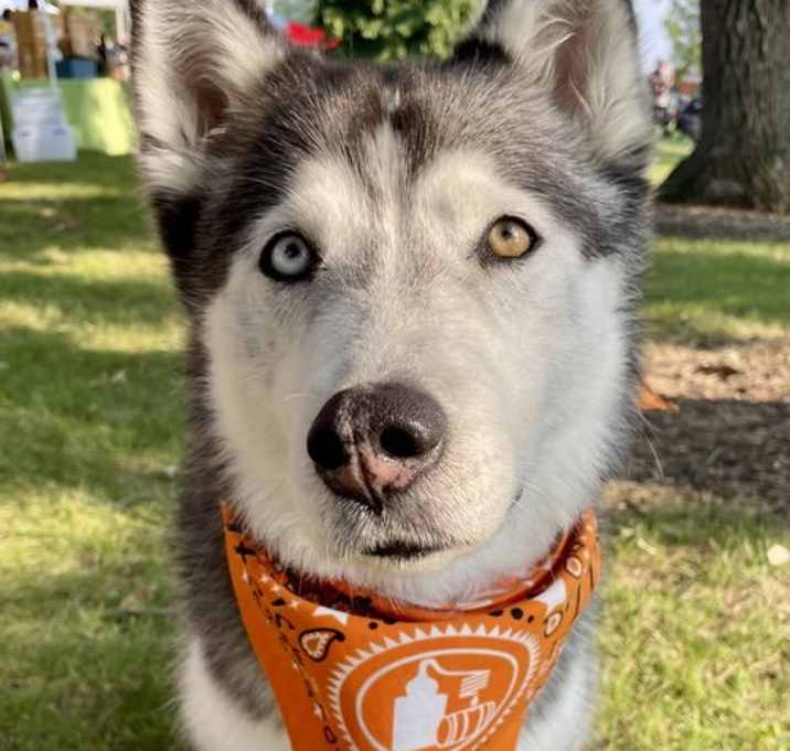 Photo of Juneau