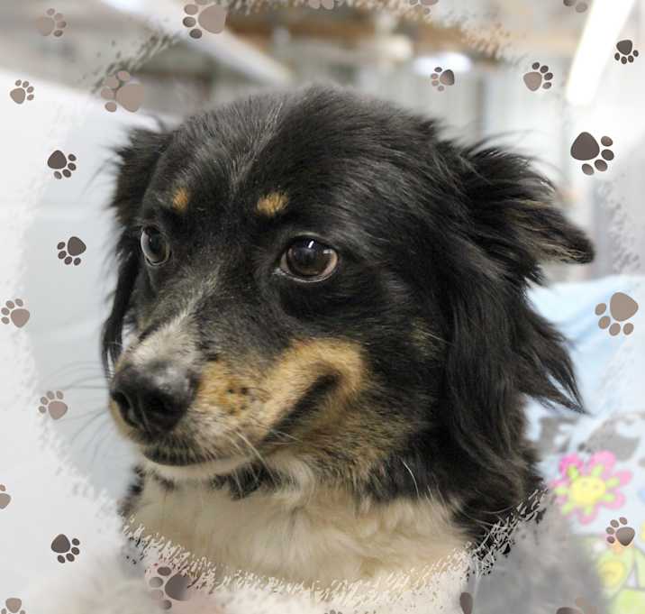 Photo of Brenda