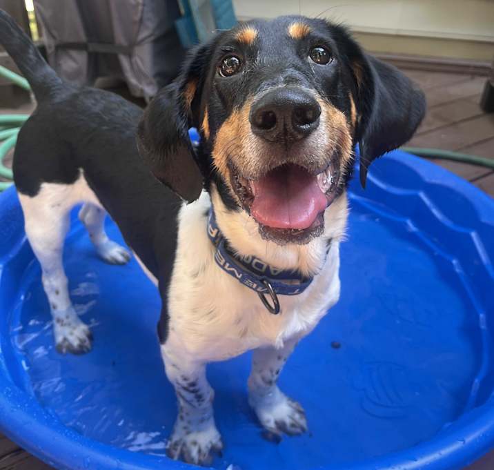 Photo of Howie