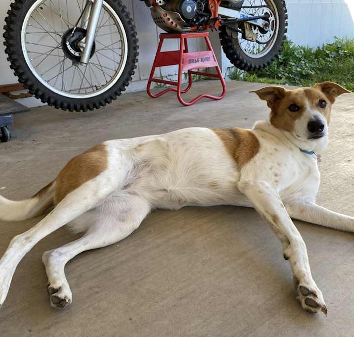 Photo of Ruth