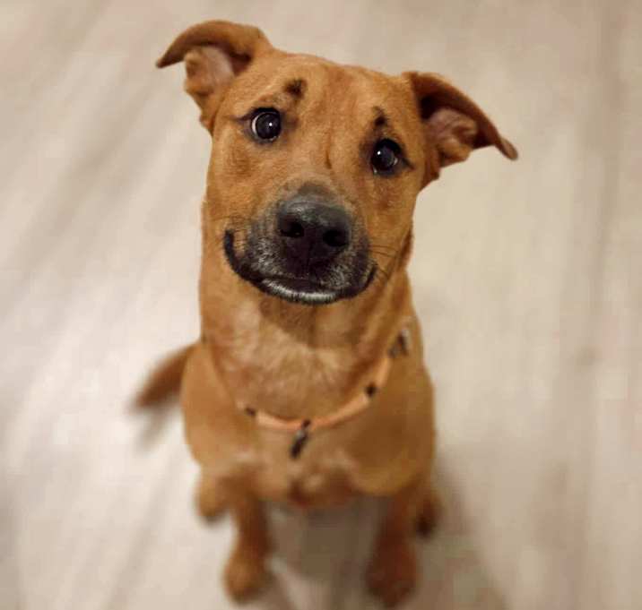 Photo of Oakley