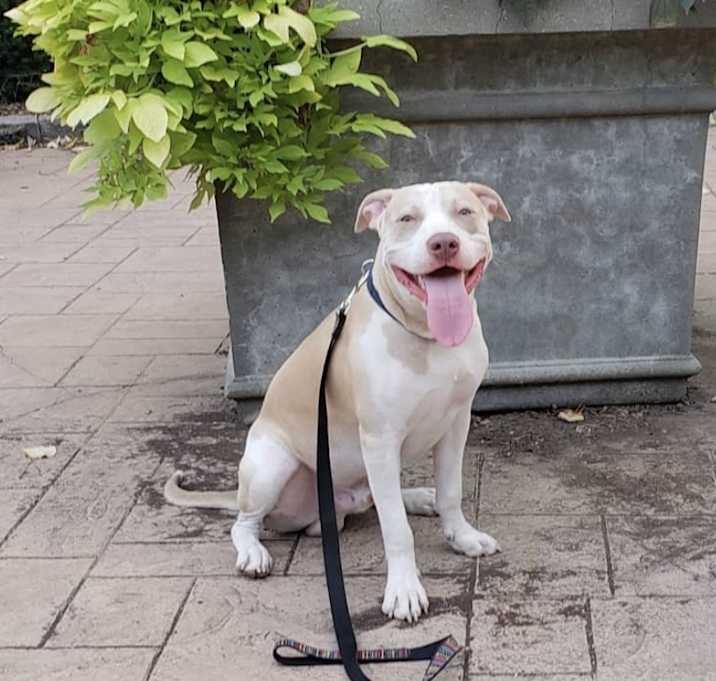 Photo of Marley