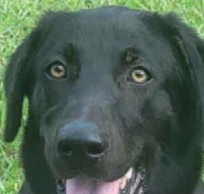 Photo of Ashe
