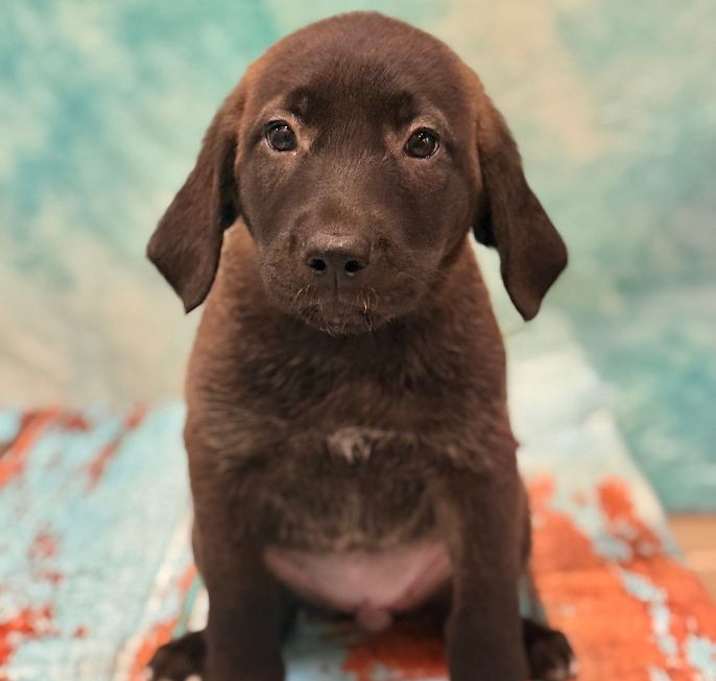 Photo of Finn