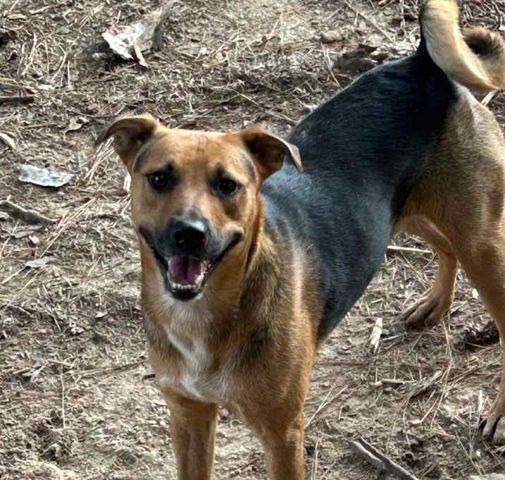 Photo of Rowdy