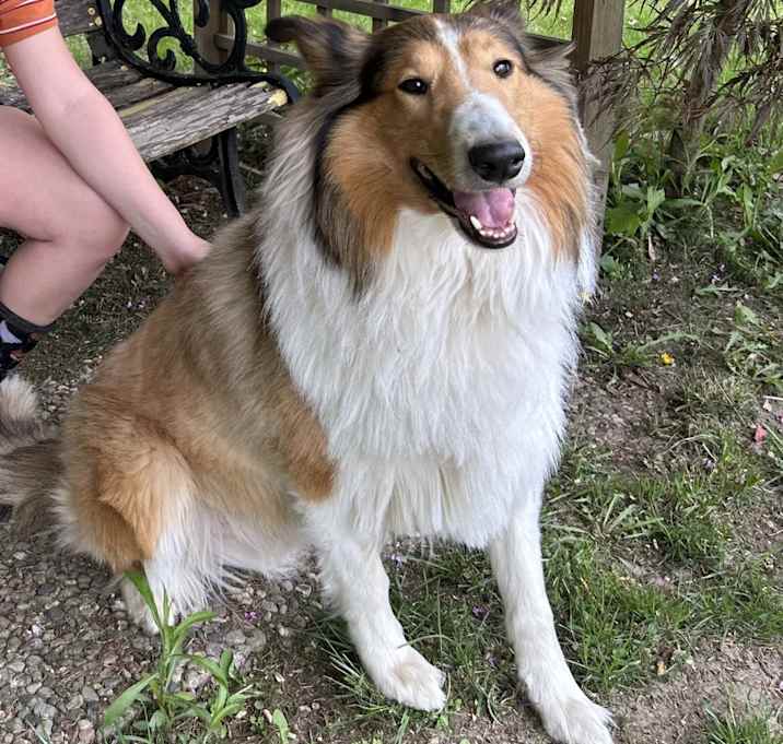 Photo of Jasper