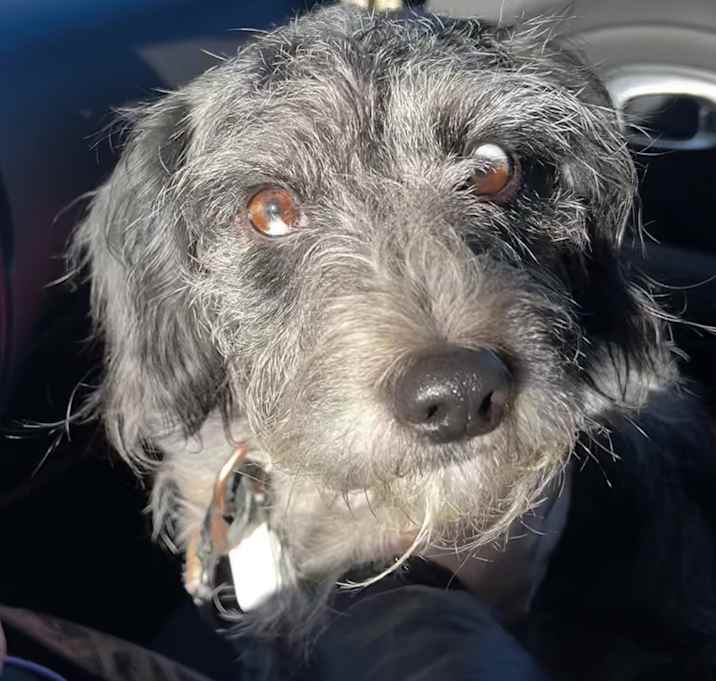 Photo of Charlie