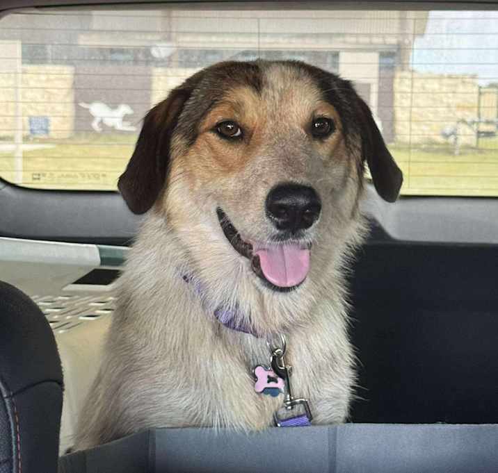 Photo of Hazel