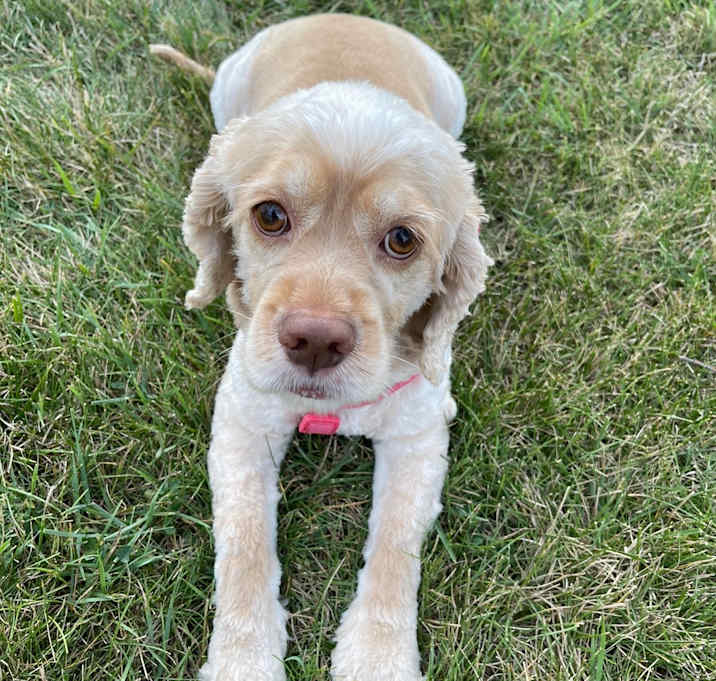 Photo of Fiona
