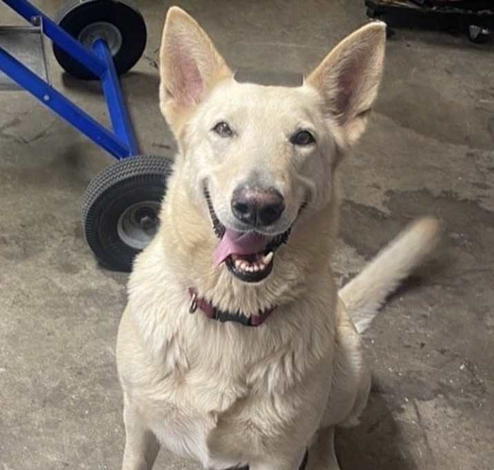 Photo of Sasha