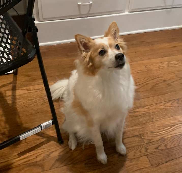 Photo of Monte