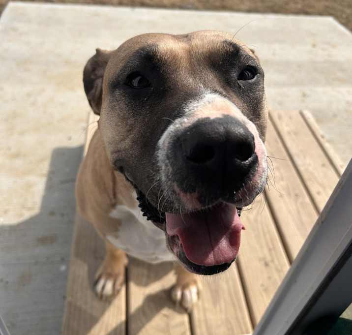 Photo of Peggy