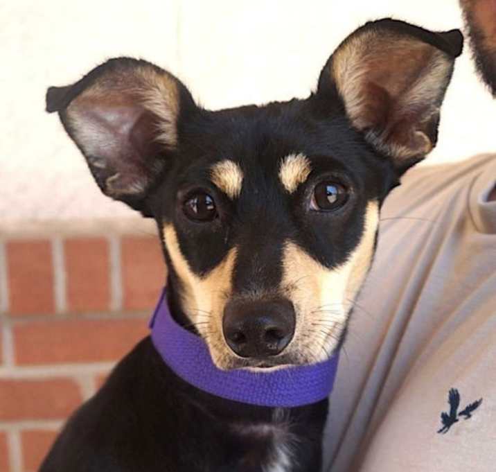 Photo of Rico