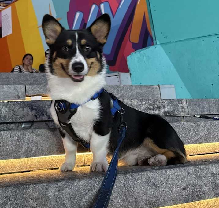Photo of Barkley