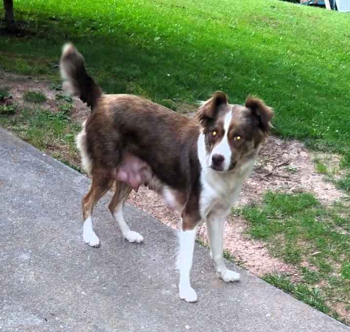 Photo of Kate - available 8/4
