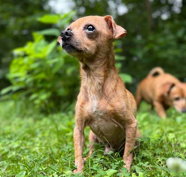 Photo of Bama Chi