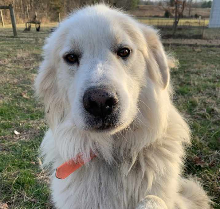 Photo of Husker