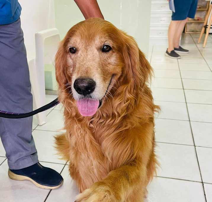 Photo of Maverick