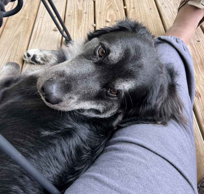 Photo of Bentley