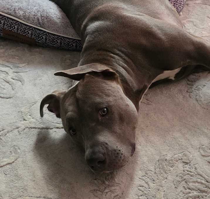 Photo of Blu