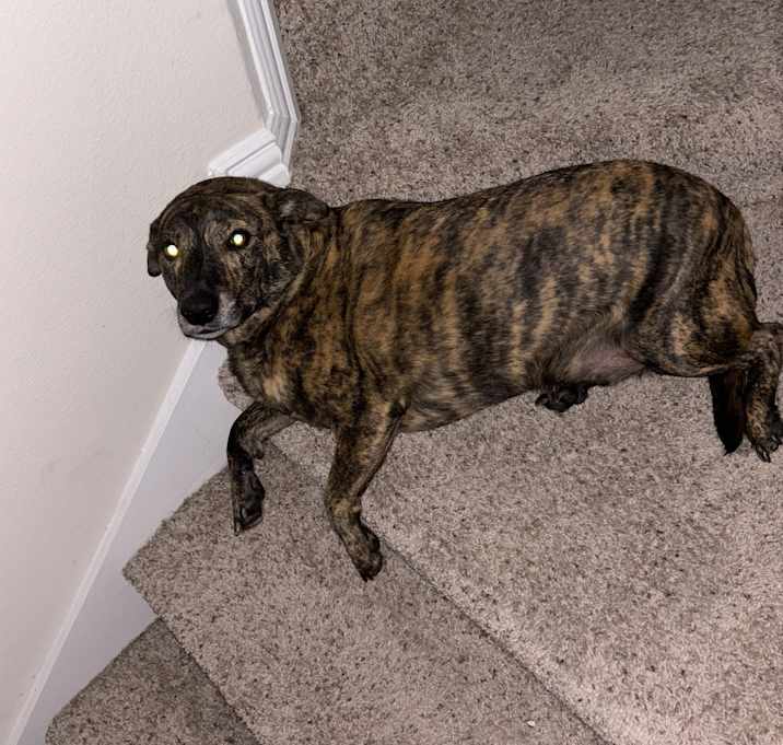 Photo of Twix