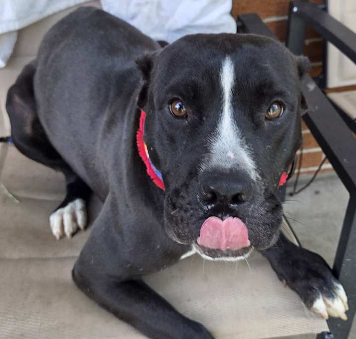 Photo of Reign