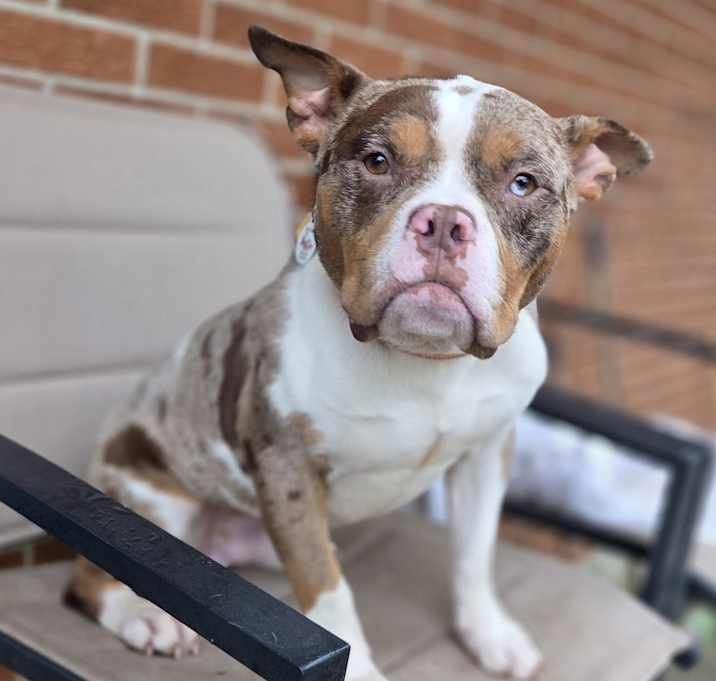 Photo of Memphis
