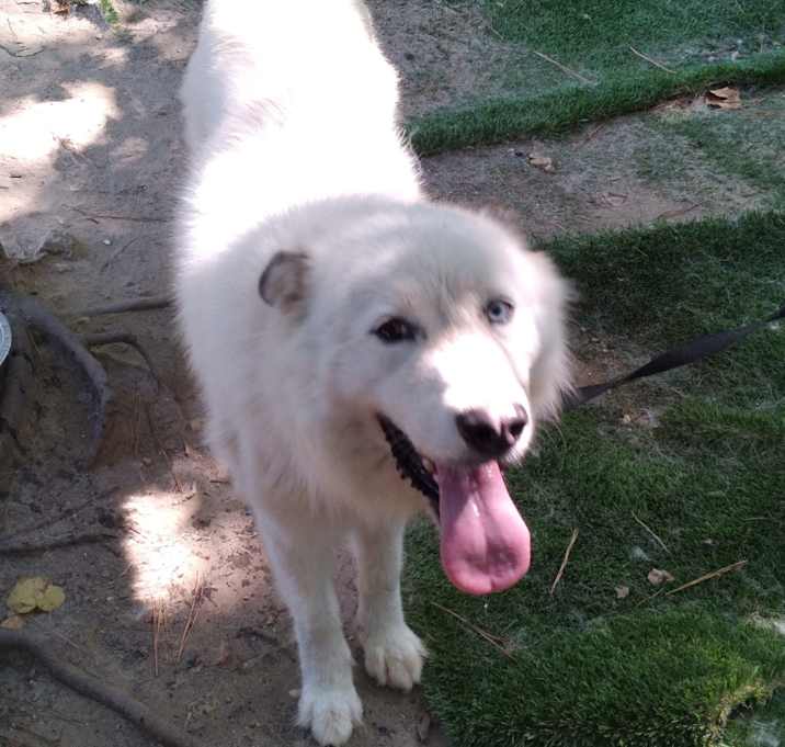 Photo of Coco