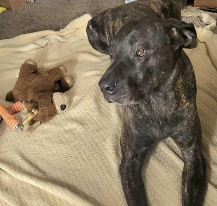 Photo of Jax