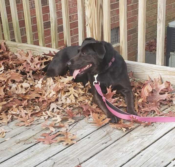 Photo of Ellie