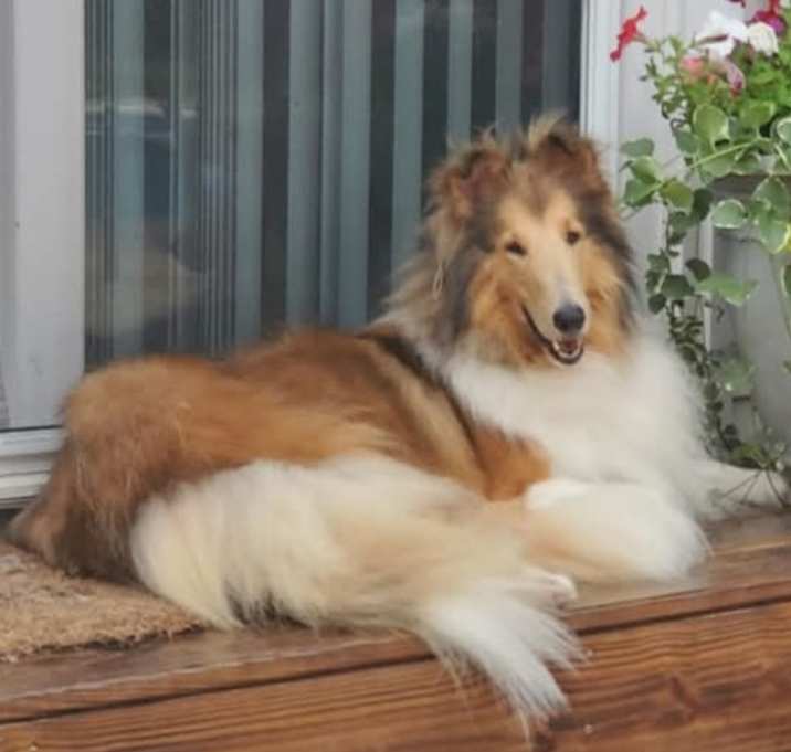 Photo of Holly