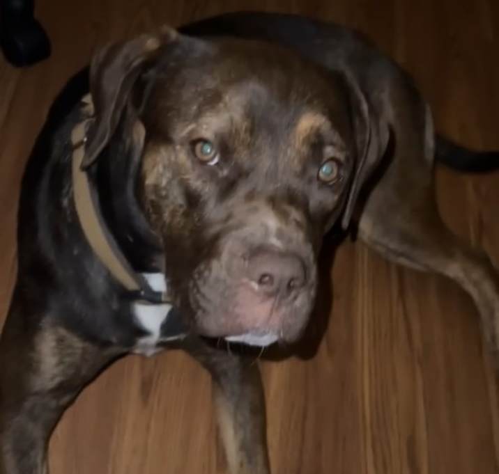 Photo of Jasper