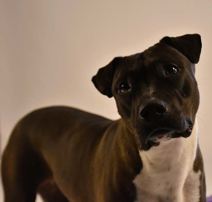 Photo of Reesie