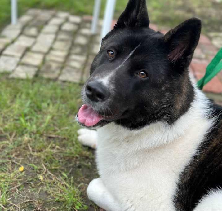 Photo of Nikita