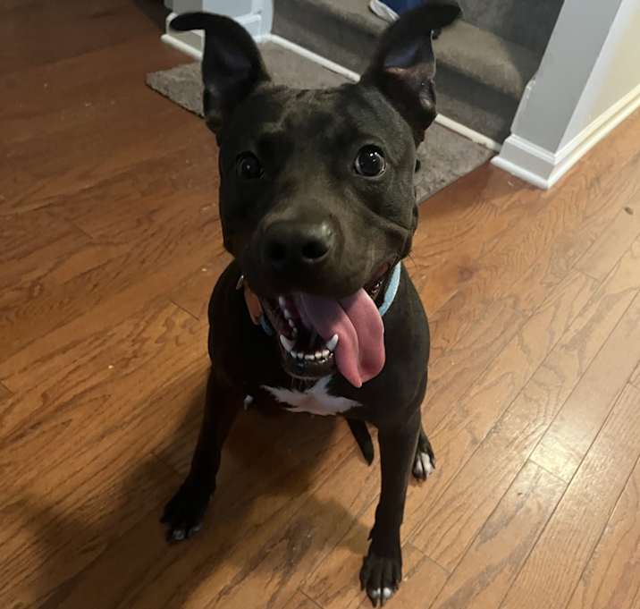 Photo of Denver