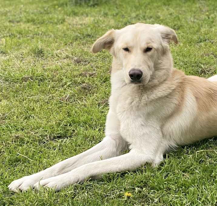 Photo of Uther