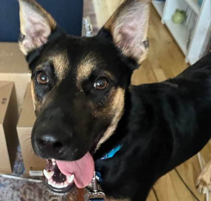 Photo of Max