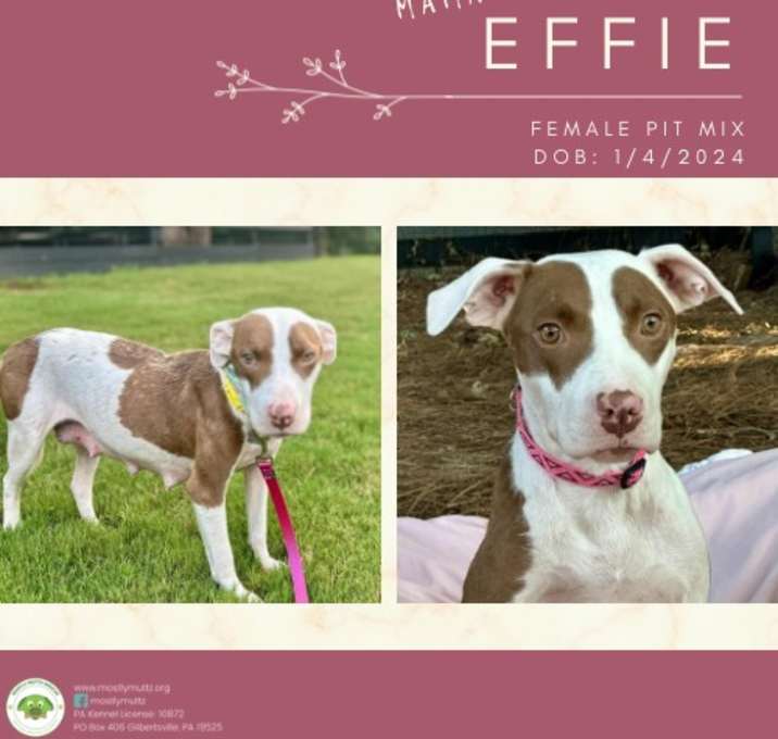 Photo of Effie