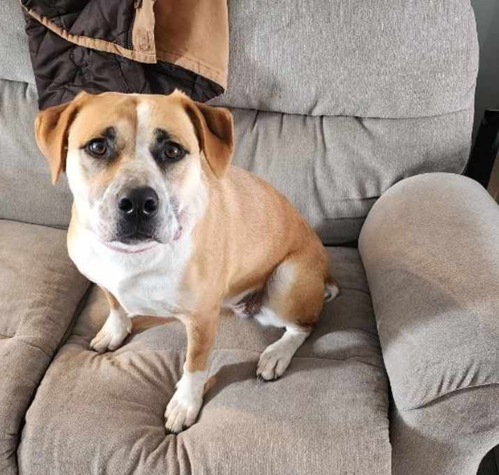 Photo of Lily